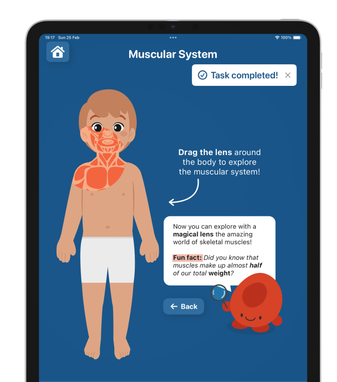 iPad screen showing the muscular system with a magical lens interaction revealing muscles beneath the skin