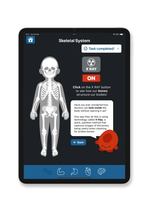 iPad screen showing the skeletal system with the X-ray toggle switched on, revealing the bones