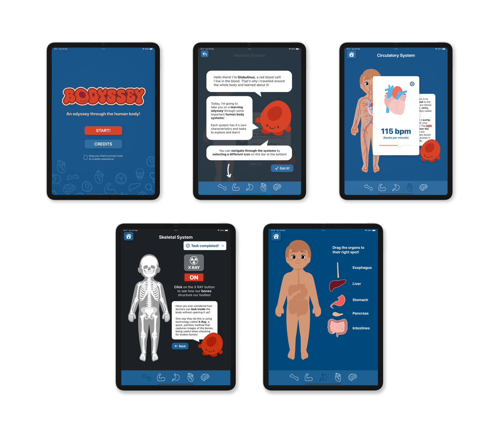Five app screens: start screen, onboarding with Globulinus, circulatory system with a heart-rate slider, skeletal system X-ray toggle, and digestive system drag-and-drop