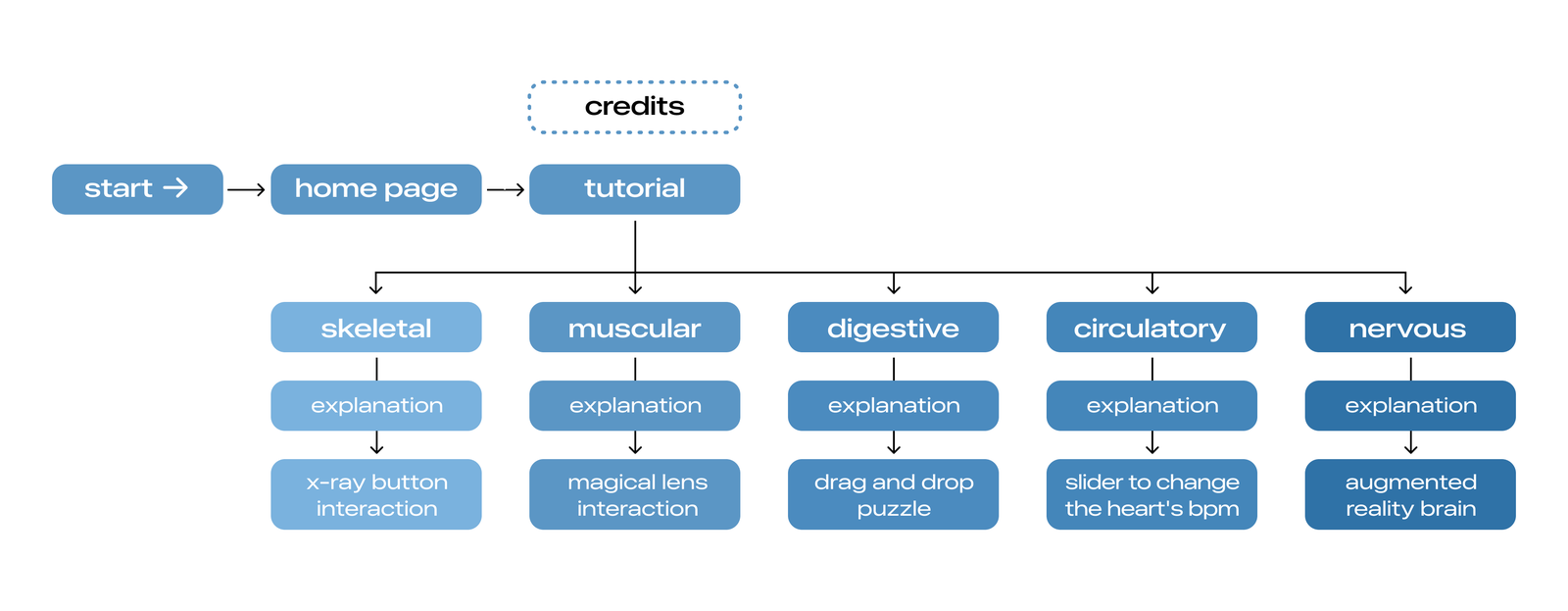 User flow diagram: start, home page, and tutorial branching into the five body systems — skeletal, muscular, digestive, circulatory, and nervous — each with its own explanation and interaction